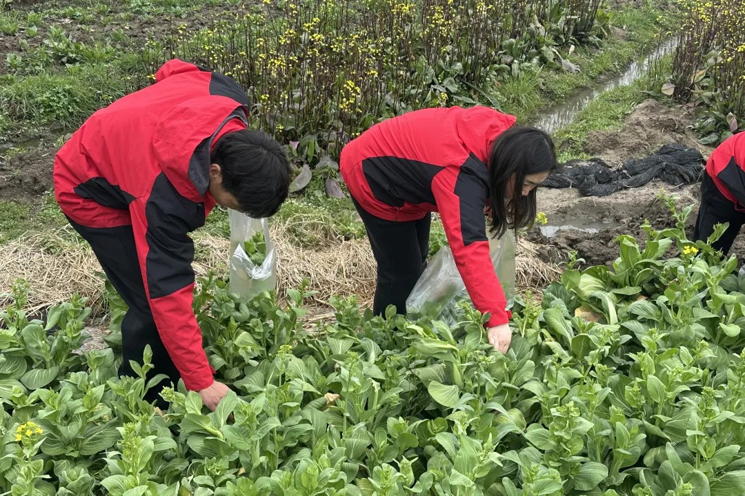 1774427651605093853.jpg h9.jpg