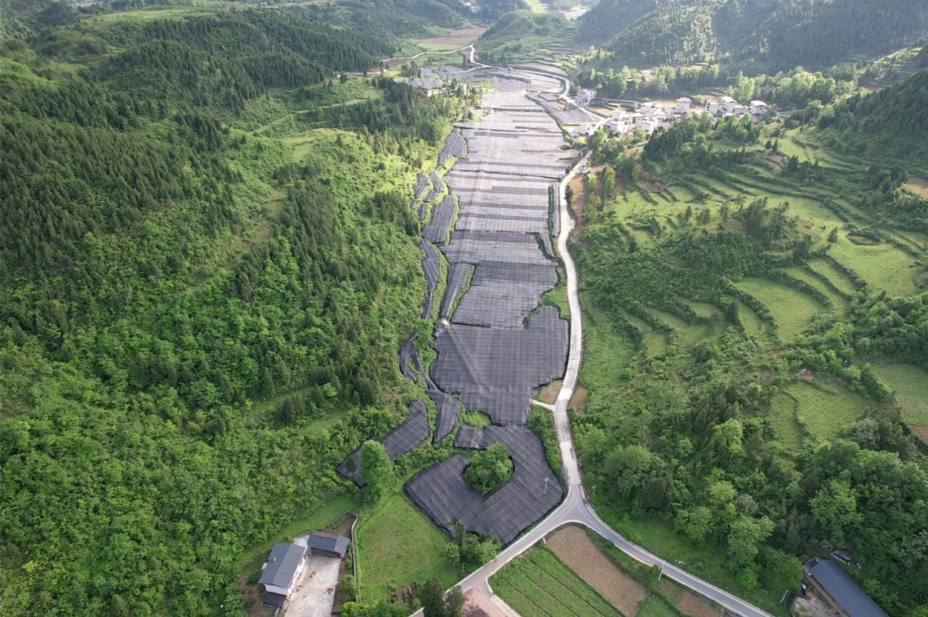 1776076133673094569.jpg 5.jpg