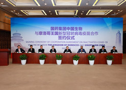 2020年8月20日下午，国药集团中国生物与摩洛哥王国新型冠状病毒疫苗合作签约仪式在北京、拉巴特两地举行。