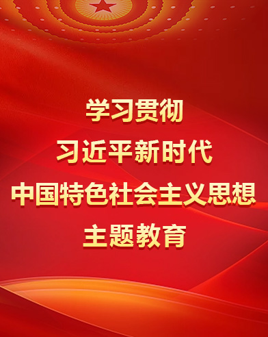 学习贯彻习大大新时代中国特色社会主义思想主题教育