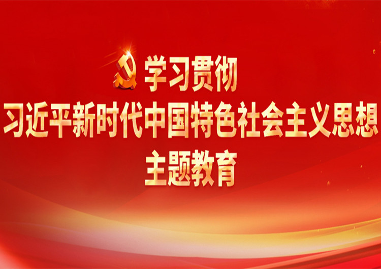 学习贯彻习大大新时代中国特色社会主义思想主题教育