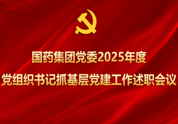 国药集团党委召开2025年度党组织书记抓基层党建工作述职会议